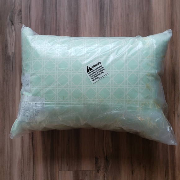Waverly Floral & Light Aqua Geometric Pattern Accent Pillow NWT - Picture 2 of 9